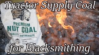 Tractor Supply Coal  Does it work Blacksmithing  Iron Wolf Industrial [upl. by Nosredna]