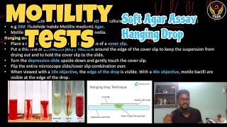 Motility Tests  Soft Agar Assay  Hanging Drop  Cavity slide Tamil  Microbiology  ThiNK Biology [upl. by Eecyac]