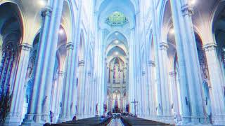 quotCarmen  Lana Del Reyquot But playing in a Cathedral [upl. by Htebesile]