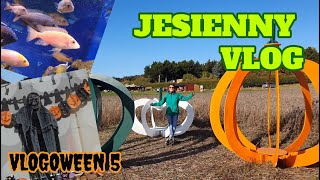 JESIENNY VLOG  DYNIE RYBY I HADDINGTON [upl. by Euqirne776]