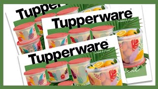 Vitrine 012024 Completa Tupperware ♡ Rute Alves [upl. by Nosyaj]