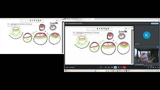 Embryology Simplified Notochord Formation Explained [upl. by Seka]