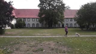 Kloster Wöltingerode  Harz [upl. by Weight]