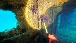 Hunting Lionfish on the Comanche Shipwreck [upl. by Aninep]