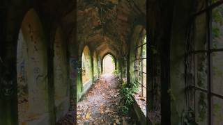 Le domaine des trois colonnes abandoned urbex abandonedplaces graffiti shorts urbexfrance [upl. by Akins49]