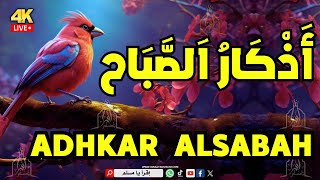 أذكار الصباح بصوت جميل وهادئ  كفاك الله ورزقك من حيث لا تحتسب  Adkar Sabah HD 🌅🤲💚 [upl. by Anom238]