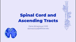 Spinal Cord amp Ascending Tracts  Dana Almazroua  NEU 241 PAL review session [upl. by Ruscio]