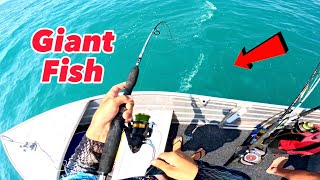 Reef fishing in Hervey Bay  tuna  mackerel  cod  bream [upl. by Canning]