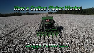 How A Cotton Picker Works 4K [upl. by Vasti]