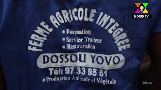 Zoom sur la ferme intégrée agricole DOSSOUYOVO et le restaurant MANGER SAIN sis à Takon [upl. by Tigram]