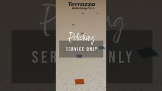 Professional Terrazzo Floor Polishing in Broward County [upl. by Nawrocki616]