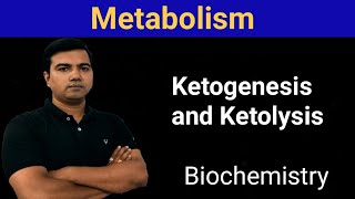 Metabolism Ketogenesis and Ketolysis [upl. by Ainaj626]