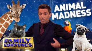 Animal Madness  Family Fortunes 2021 [upl. by Nalepka]