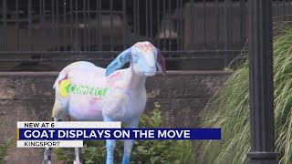 Painted goats ‘grazing’ in downtown Kingsport ahead of Fun Fest [upl. by Hochman]