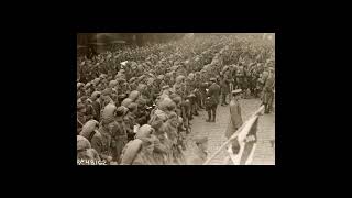 Carrier Pigeons Save the Day history interestingfacts viral shorts ww1 animals military [upl. by Soinski894]