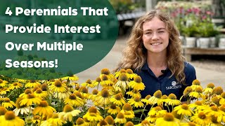 4 Perennials That Provide Interest Over Multiple Seasons [upl. by Aieka]