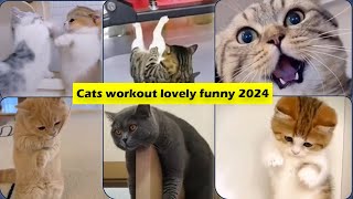 Cats workout lovely funny 2024 [upl. by Gertie]