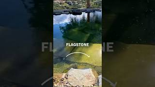 How to make Natural Pool bottom soft 💦 naturalpool flagstone poolparty ponds transformation [upl. by Tterej]