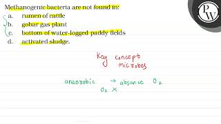 Methanogenic bacteria are not found in \ \mathrmP \ a rumen o [upl. by Gregoire601]