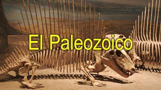 Eras geológicas parte 2 El paleozoico [upl. by Yseulta]