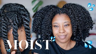 Moisturise DRY Natural Hair In 4 Easy Steps 🔢 Detailed wProduct Recommendations [upl. by Uohk]