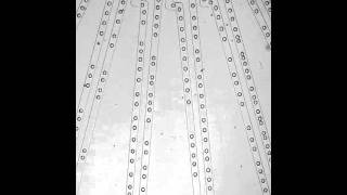 Continuous flow PCR in droplets [upl. by Mitzi454]