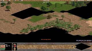 AOE2 Aggression Tactics [upl. by Lenci]