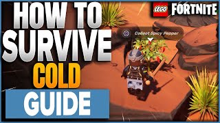 How To Survive Freezing Cold Temperatures In LEGO Fortnite [upl. by Coshow]