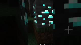 Minecraft Patch New Update 121 🔥Malayalam minecraft [upl. by Kapor]