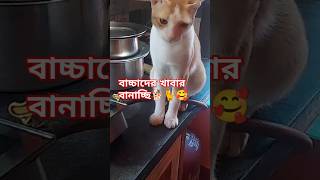 বাচ্চাদের খাবার বানাচ্ছি🐈🐕🥰 youtubeshorts animalslover cat trendingshorts dog shorts [upl. by Yrocej]