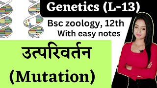 Genetics L13Mutation and types in Hindi mutation bsc 3rd year zoology in Hindi lion batch [upl. by Aonehc]