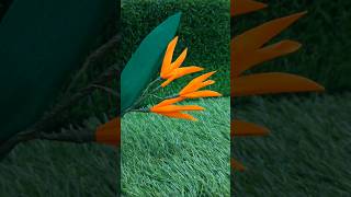 Heliconia Flower  DIY Tropical plant  Paper Flower [upl. by Ispep]