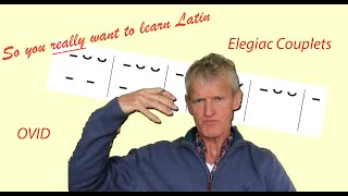 Latin 3 Lesson 46 Scanning Elegiac Couplets  So You Really Want to Learn Latin [upl. by Bogosian]