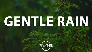 12 Hours Gentle Rain in the Forest for Deep and Relaxing Sleep  Rain sounds for sleeping [upl. by Norym]