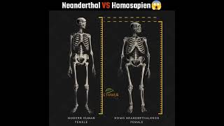 Neanderthal VS Homosapien😱humanspecies shortsvideo GYaane [upl. by Ulrike]