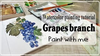 How to paint watercolor painting  grapes branch watercolor painting  paint with me  ASMR video [upl. by Emiolhs]