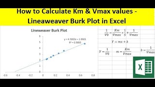 How to calculate Km and Vmax values  Lineweaver Burk plot in Excel [upl. by Aneri158]