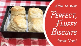 How to Make Perfect Fluffy Biscuits EVERY TIME 3 ingredients selfrising flour milk amp butter [upl. by Alodie]