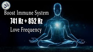 741 Hz  852 Hz Remove Toxins Boost Immune System Cleanse Infections Love Frequency Healing [upl. by Ahseek176]