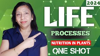 Life Processes Class 10 Science Biology  Nutrition in Plants One Shot  CBSE  NCERT  Board Exam [upl. by Kus]