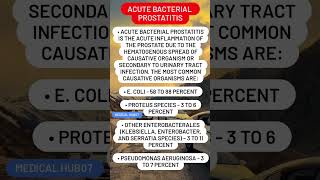 Acute bacterial prostatitis [upl. by Faso]