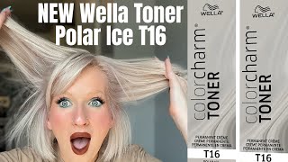 NEW Wella Toner T16 Polar Ice [upl. by Peggie]