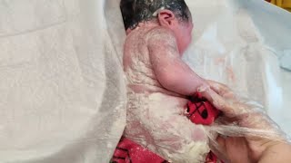 Newborn baby just after birth only few seconds old covered in Vernix Caseosa babiesvideos video [upl. by Ollayos]