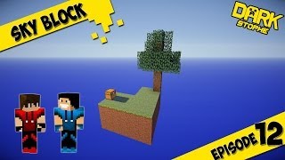 SkyBlock  Épisode 12  Des vaches Timelapse [upl. by Varien]