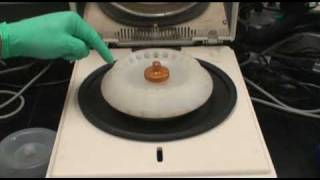 Microfuge amp Centrifuge Operation [upl. by Ellison]