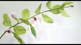 DIY Paper Pisum sativumGarden Pea from crepe paper Garden Pea de papel crepé [upl. by Lavine]