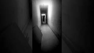 पीछे कोई आ रहा था 😱😱👻 ghost horrorstory hountedhouse darkshorts aahat [upl. by Einehpets]