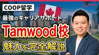 【コープ留学】超実践的なビジネス英語を学ぶなら「TAMWOOD」coop留学 カナダ留学 tamwood [upl. by Akemak]