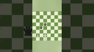 Chess brillant move   best brilliant move in chess shorts chess [upl. by Saduj]