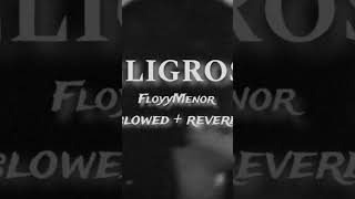 Peligrosa  FloyyMenor slowed  reverb [upl. by Nede]